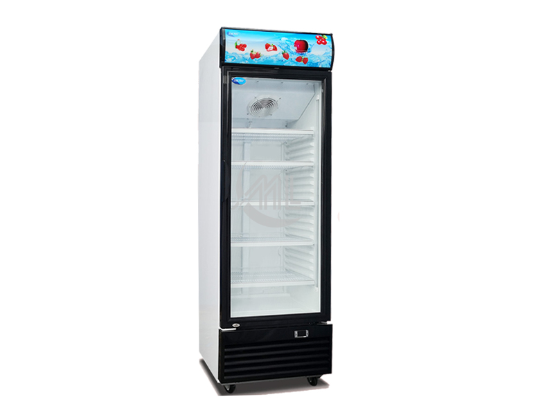 SNOW - 1 Door Chiller snow LY350F 1 Glass Door chiller
